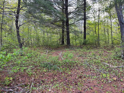 Lot 13 Sandy Shores Tr, Barry's Bay - Madawaska Valley image-0-3