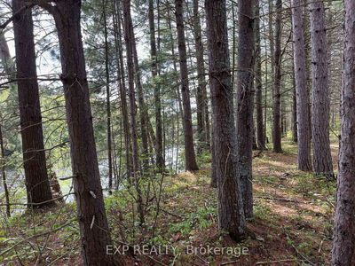 Lot 29 Sandy Shores Tr, Barry's Bay - Madawaska Valley image-0-2