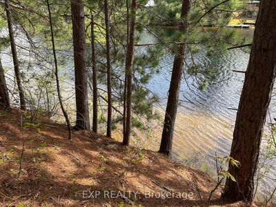 Lot 29 Sandy Shores Tr, Barry's Bay - Madawaska Valley image-0-3