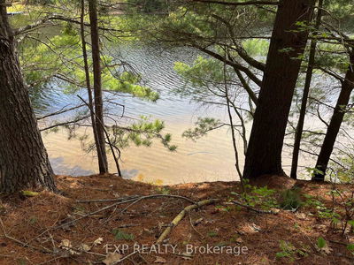 Lot 29 Sandy Shores Tr, Barry's Bay - Madawaska Valley image-0-4