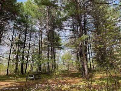 Lot 35 Sandy Shores Tr, Barry's Bay - Madawaska Valley image-0-1