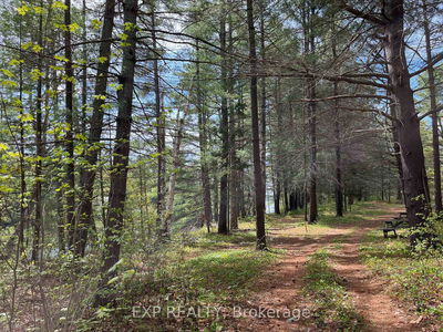 Lot 35 Sandy Shores Tr, Barry's Bay - Madawaska Valley image-0-4