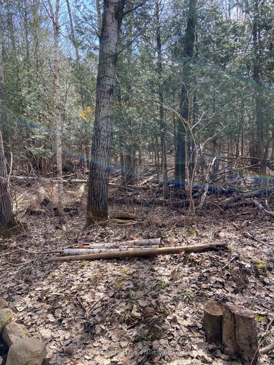 N/A Chelsea Lane, Algonquin Highlands - Stanhope