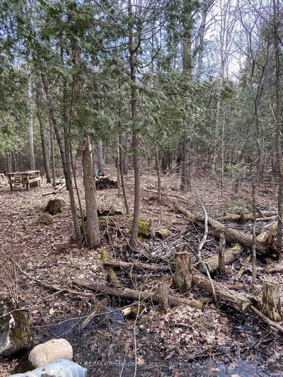 N/A Chelsea Lane, Algonquin Highlands - Stanhope image-0-1
