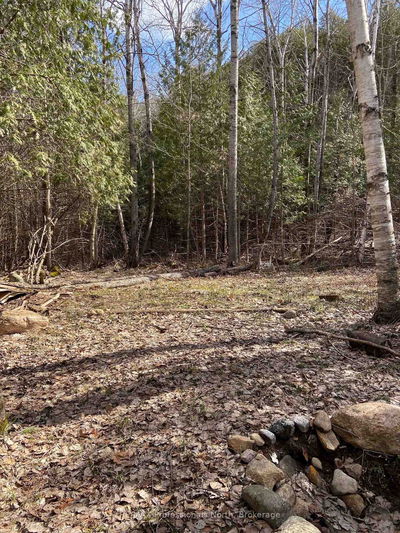 N/A Chelsea Lane, Algonquin Highlands - Stanhope image-0-2