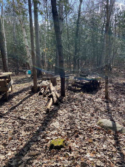 N/A Chelsea Lane, Algonquin Highlands - Stanhope image-0-3