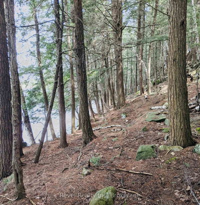 88 Louisa St, Parry Sound - Parry Sound image-0-4