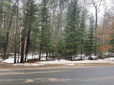  Dwight Beach Rd, Lake of Bays - Franklin image-0-1