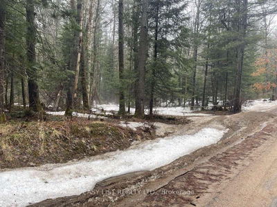  Dwight Beach Rd, Lake of Bays - Franklin image-0-2