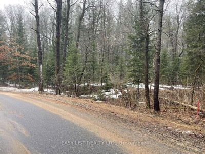  Dwight Beach Rd, Lake of Bays - Franklin image-0-3