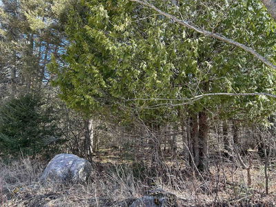 Lot 21 Part 1 Golf Course Rd, Chisholm - Chisholm