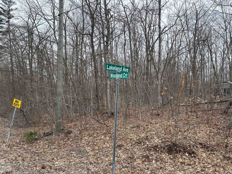 96 Woodland Crt, Trent Lakes - Trent Lakes image-0-0