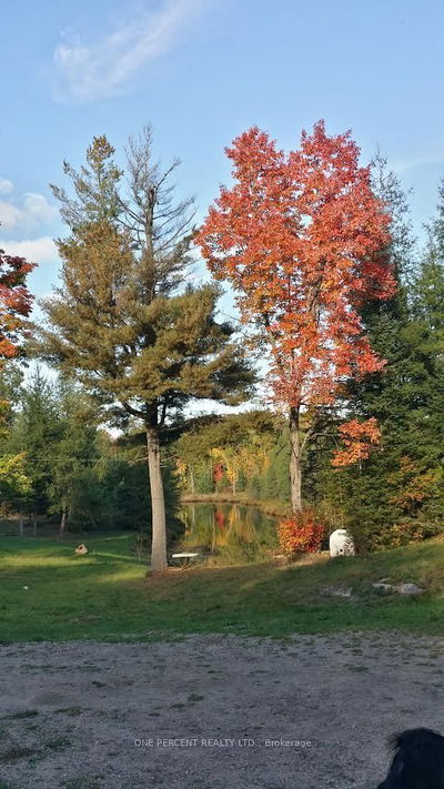 1860 Fern Glen Rd, McMurrich/Monteith - McMurrich image-0-4