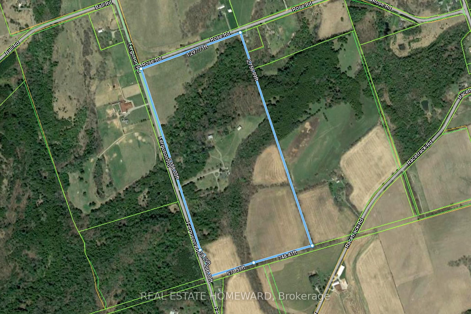Listing Image 5