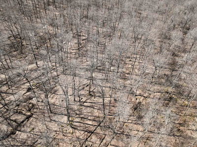 463176 Concession 24 Acre, Georgian Bluffs - Georgian Bluffs image-0-2