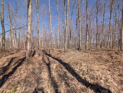 463176 Concession 24 Acre, Georgian Bluffs - Georgian Bluffs image-0-4