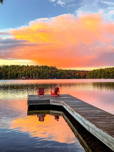 3164 #9 Muskoka Road 118 Rd, Muskoka Lakes - Medora image-0-4