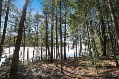 6547 Kennisis Lake Rd, Dysart et al - Havelock image-0-2