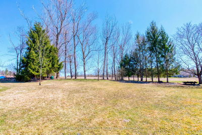 2218 Mckendry Rd, Kingston - City North of 401 image-0-3