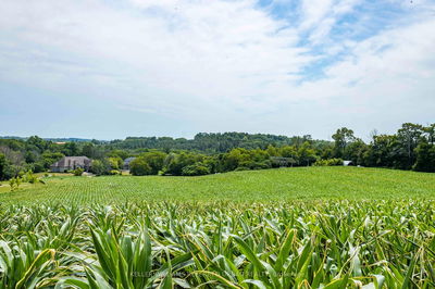 00 Smylie Rd, Hamilton Township - Rural Hamilton