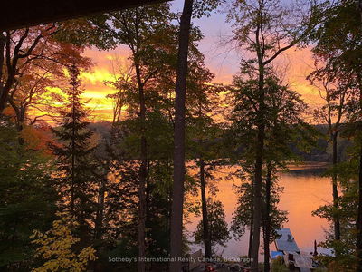 1048 Longline Lake Rd, Lake of Bays - Franklin image-0-2