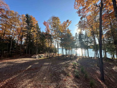 21 Luke Lane, North Kawartha - North Kawartha image-0-3