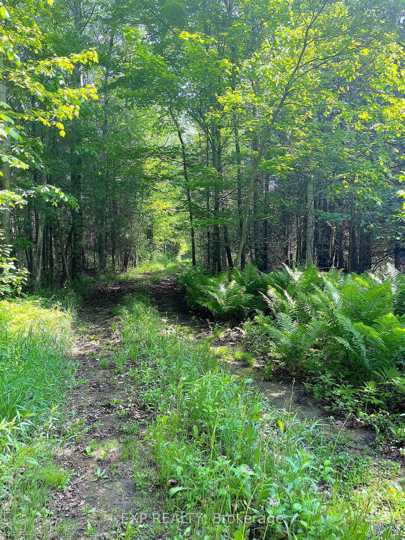 00 Johnston Rd, Renfrew - Horton Twp image-0-0