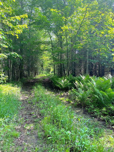 00 Johnston Rd, Renfrew - Horton Twp