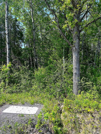 00 Johnston Rd, Renfrew - Horton Twp image-0-3