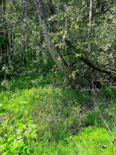 00 Johnston Rd, Renfrew - Horton Twp image-0-4