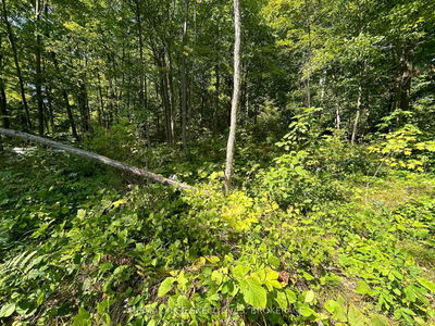 341 Steve Babcock Lane, Hartington - Frontenac South image-0-2