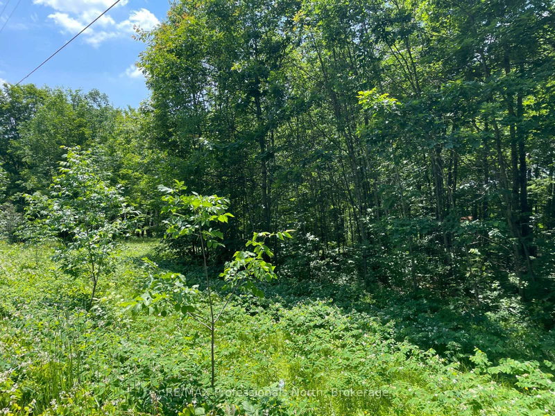 0 Glamor Lake Rd, Highlands East, K0M 1R0 | Image 3