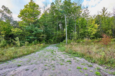PART 2 COUNTY RD 45, Trent Hills - Rural Trent Hills image-0-4