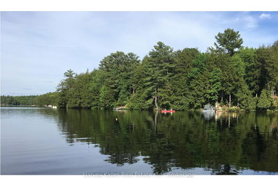 1114 Bruce Lake Dr, Muskoka Lakes - Medora