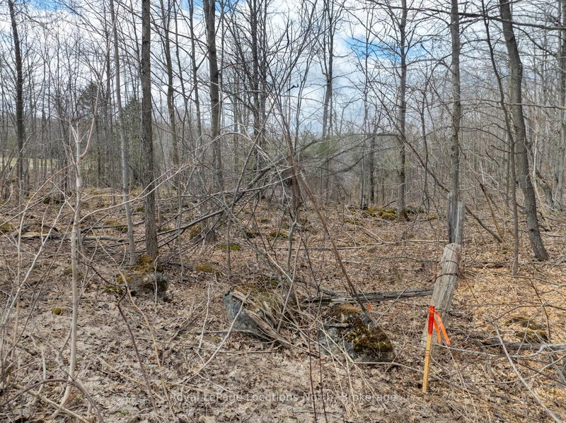 0 4th Line, Blue Mountains, N0H 2E0 | Image 2