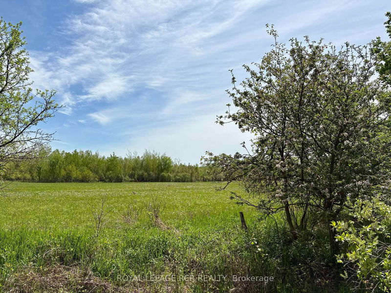 PtLt 20 Con 8 (9th Line), Amaranth - Rural Amaranth image-0-0