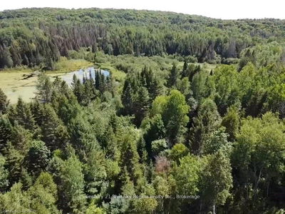 6845 Highway 63, North Bay - Birchaven image-0-3