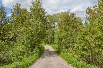 664 Syer Line, Cavan Monaghan - Cavan Twp image-0-3