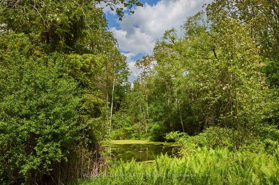 664 Syer Line, Cavan Monaghan - Cavan Twp image-0-4