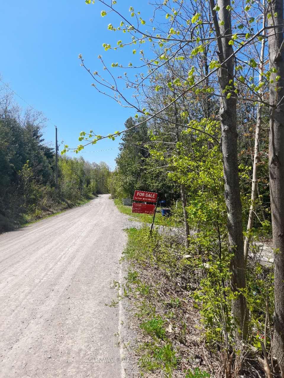 Detached House for sale at 46 Sandy Bay Road, Alnwick/Haldimand, Rural Alnwick/Haldimand, K0K 1Y0 - MLS: X12099135