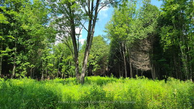 N/A Keating Rd, Havelock-Belmont-Methuen - Rural Havelock-Belmont-Methuen image-0-2