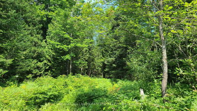 N/A Keating Rd, Havelock-Belmont-Methuen - Rural Havelock-Belmont-Methuen image-0-3