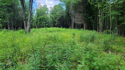 N/A Keating Rd, Havelock-Belmont-Methuen - Rural Havelock-Belmont-Methuen image-0-4