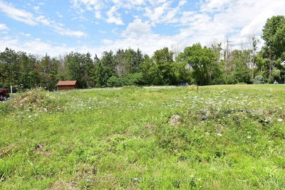 8 Albert St, Edwardsburgh/Cardinal - Edwardsburgh/Cardinal Twp image-0-2