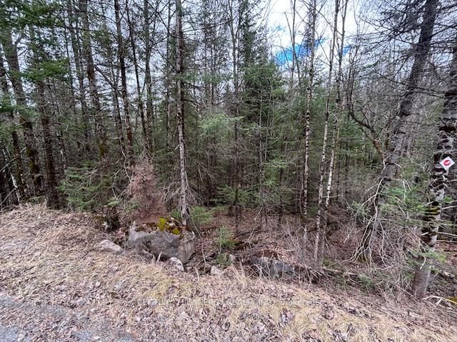  SOUTH LAVANT St, Lanark - Lanark Highlands (Lavant) Twp image-0-0