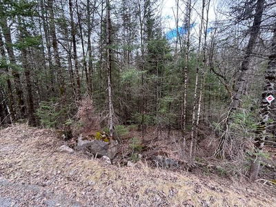  SOUTH LAVANT St, Lanark - Lanark Highlands (Lavant) Twp
