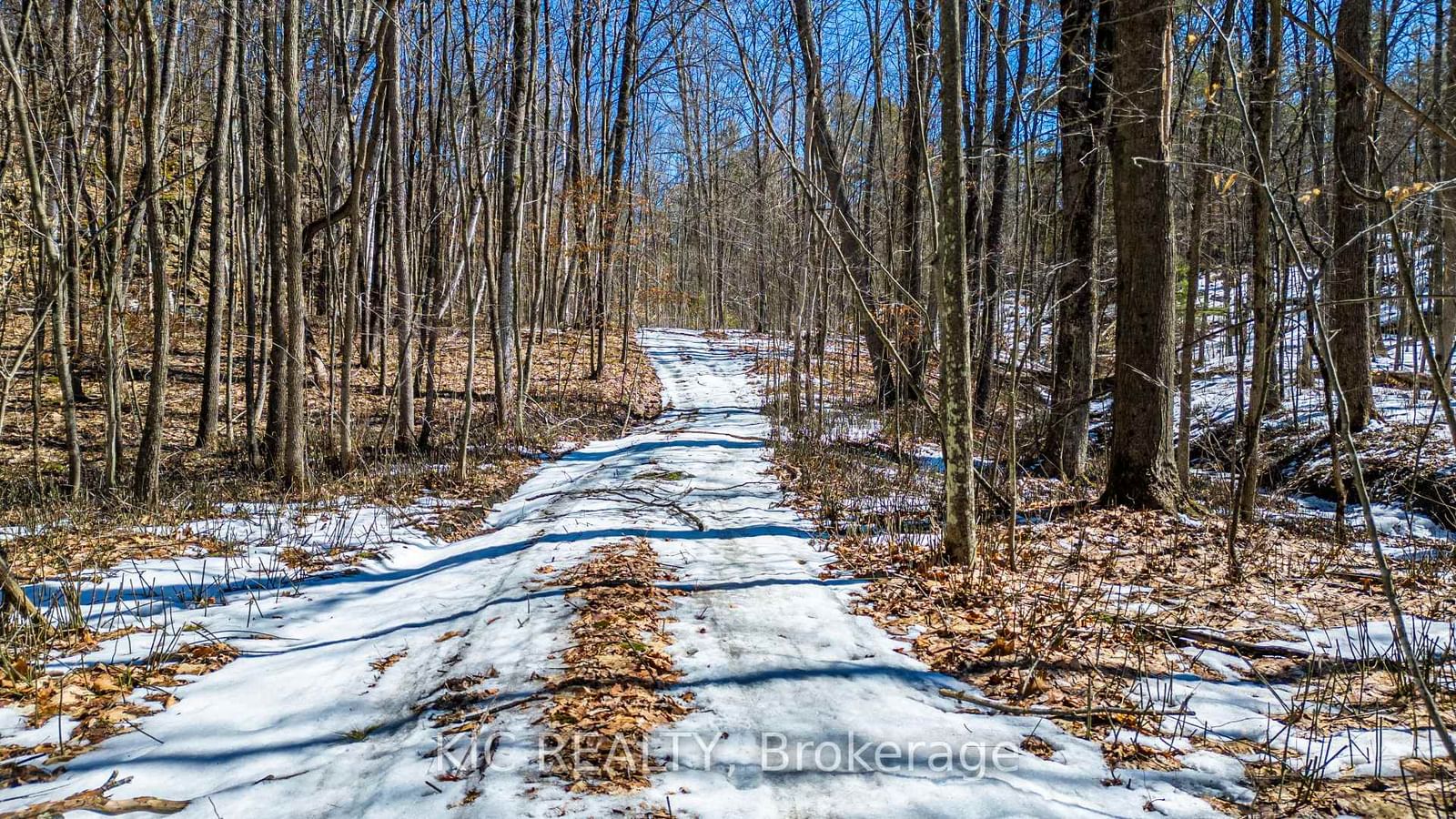 0 Hinchinbrooke RD N Road • Verona, ON photo 18