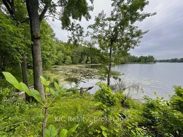 0 Hinchinbrooke RD N Road • Verona, ON photo 3
