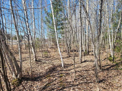 1581 Kinsella Dr, Cumberland - Cumberland Estates image-0-2