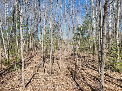 1581 Kinsella Dr, Cumberland - Cumberland Estates image-0-3